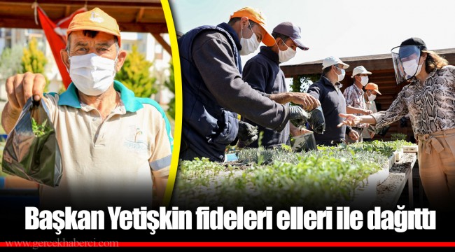 Başkan Yetişkin fideleri elleri ile dağıttı