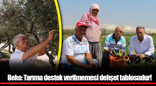 Beko: Tarıma destek verilmemesi dehşet tablosudur!