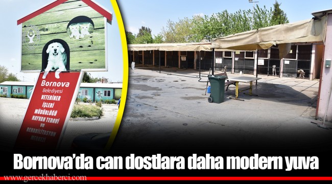 Bornova’da can dostlara daha modern yuva