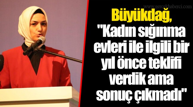 Büyükdağ, "Kadın sığınma evleri ile ilgili bir yıl önce teklifi verdik ama sonuç çıkmadı"