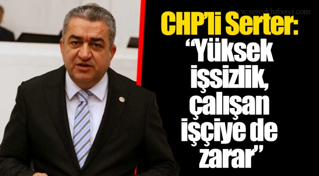 CHP’li Serter: “Yüksek işsizlik, çalışan işçiye de zarar”