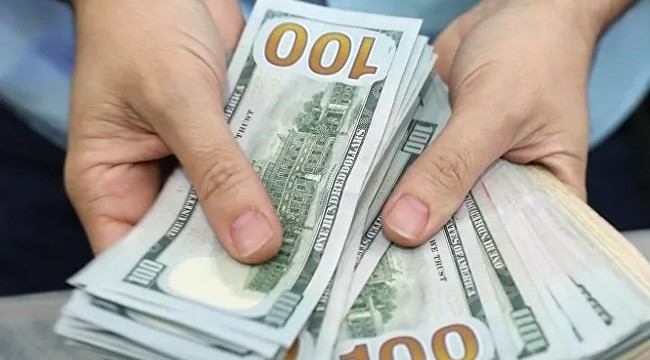 Dolar 6.90 lirayı aştı