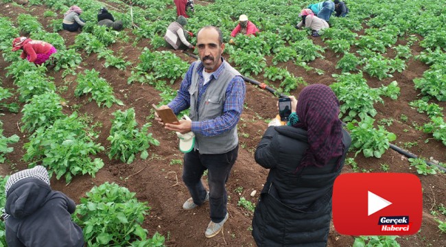 Drone gören tarım işçileri şaşkına döndü
