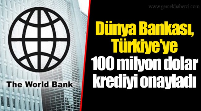 Dünya Bankası, Türkiye'ye 100 milyon dolar krediyi onayladı