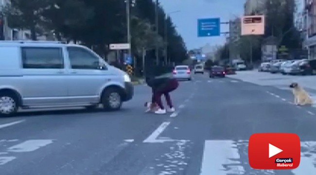 Duyarlı vatandaş anne köpeğin çaresizliğine dayanamadı