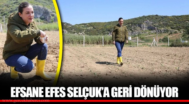 EFSANE EFES SELÇUK’A GERİ DÖNÜYOR