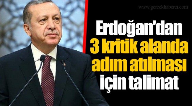 Erdoğan'dan 3 kritik alanda adım atılması için talimat