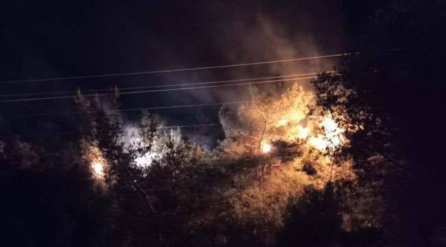İzmir Bornova'da ormanlık alanda çıkan yangın söndürüldü