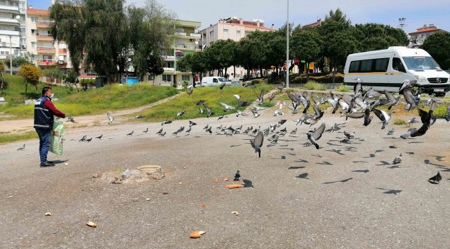 Karabağlar Belediyesi kuşları bile unutmadı