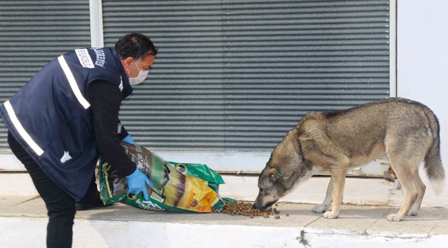 Karabağlar’da can dostlara mama desteği