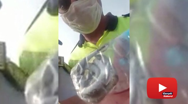 KKTC’de pet şişe içine konulan yılanı polisler kurtardı