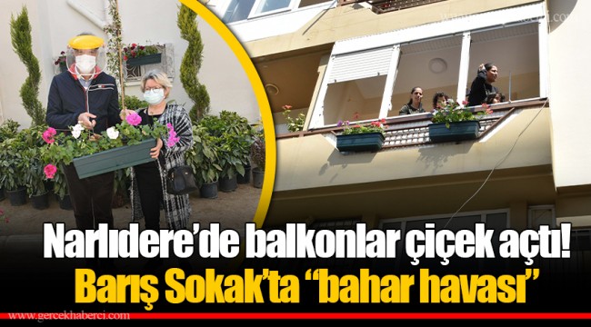 Narlıdere’de balkonlar çiçek açtı! Barış Sokak’ta “bahar havası”