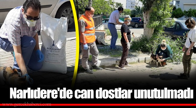 Narlıdere'de can dostlar unutulmadı