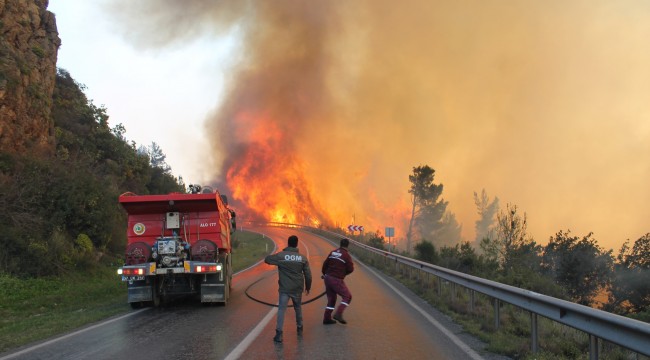 Orman yangınında 800 arı kovanı kül olan teyze gözyaşlarına boğuldu