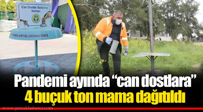 Pandemi ayında “can dostlara” 4 buçuk ton mama dağıtıldı
