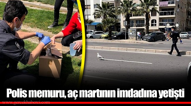 Polis memuru, aç martının imdadına yetişti