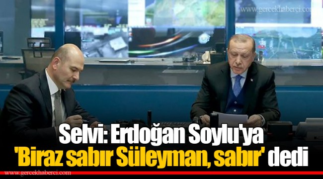 Selvi: Erdoğan Soylu&#039;ya &#039;Biraz sabır Süleyman, sabır&#039; dedi