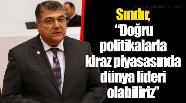 Sındır, “Doğru politikalarla kiraz piyasasında dünya lideri olabiliriz”