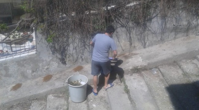 Sokak hayvanlarının mamalarını süpüren vatandaşa ceza!