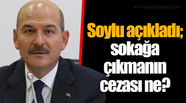 Soylu açıkladı; sokağa çıkmanın cezası ne?