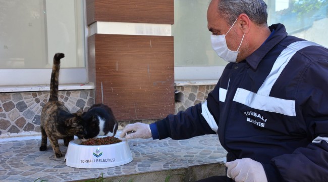 Torbalı Belediyesi yasakta can dostları unutmadı