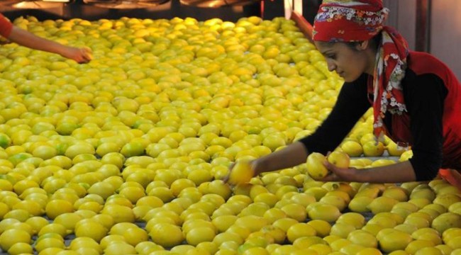 Virüs korkusu talebi arttırdı, limon ihracatı izne bağlandı