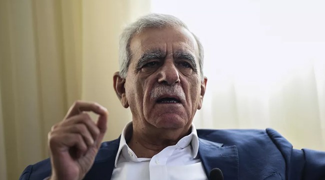 Ahmet Türk: Umut görürsem Meral Akşener'in, bir MHP liderinin bile elini sıkarım