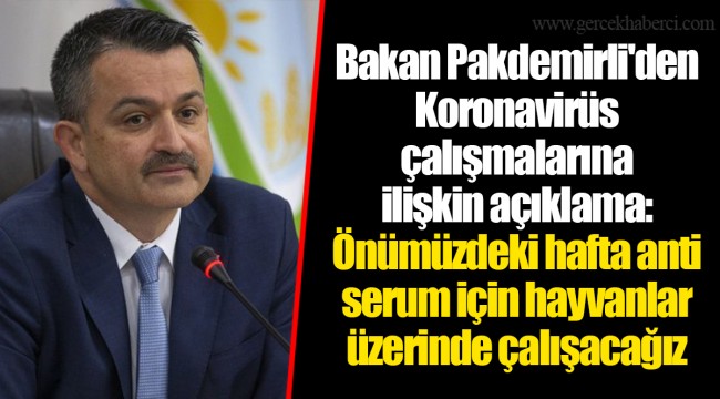 Bakan Pakdemirli'den Koronavirüs çalışmalarına ilişkin açıklama: Önümüzdeki hafta anti serum için hayvanlar üzerinde çalışacağız