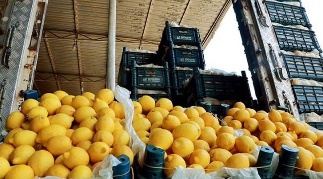 Bakan Pakdemirli müjdeyi verdi! 10 bin ton limon ihracatına izin verildi