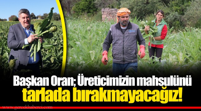 Başkan Oran;  Üreticimizin mahsulünü tarlada bırakmayacağız!