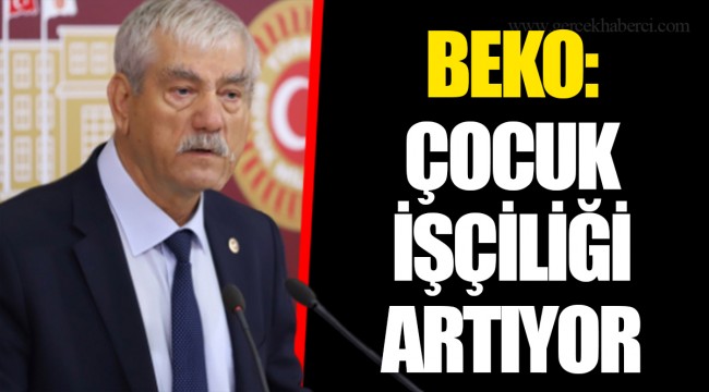BEKO: ÇOCUK İŞÇİLİĞİ ARTIYOR
