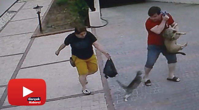 Bir anda ortaya çıktı, köpekli çifte dünyayı dar etti
