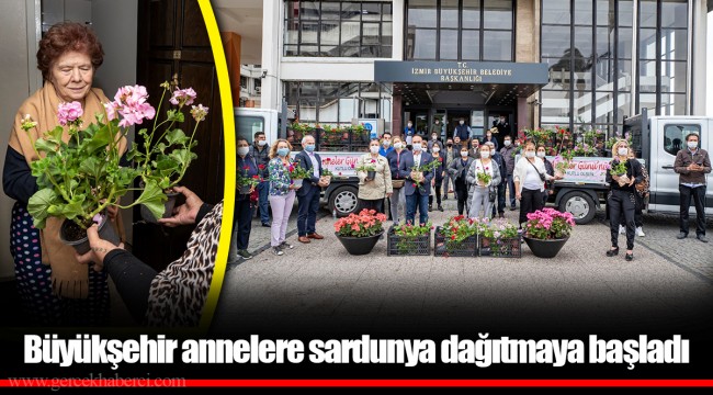 Büyükşehir annelere sardunya dağıtmaya başladı