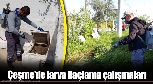 Çeşme’de larva ilaçlama çalışmaları 