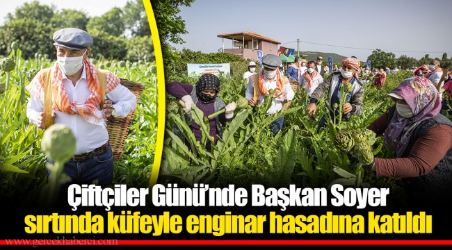 Çiftçiler Günü'nde Başkan Soyer sırtında küfeyle enginar hasadına katıldı