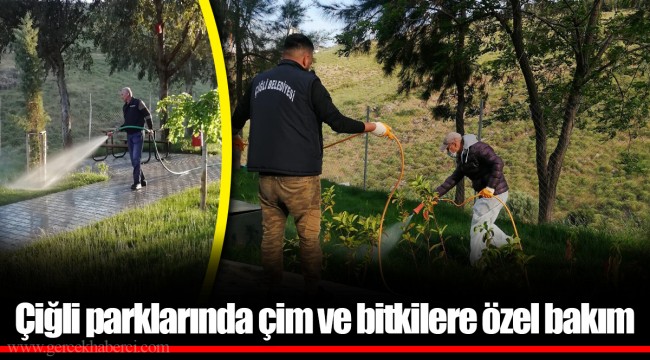 Çiğli parklarında çim ve bitkilere özel bakım