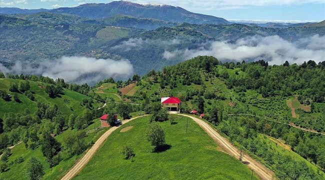 Doğu Karadeniz yaylaları ziyaretçilerini ağırlamaya hazırlanıyor