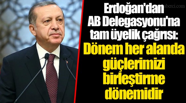 Erdoğan'dan AB Delegasyonu'na tam üyelik çağrısı: Dönem her alanda güçlerimizi birleştirme dönemidir
