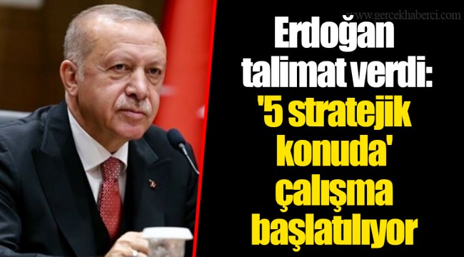 Erdoğan talimat verdi: '5 stratejik konuda' çalışma başlatılıyor