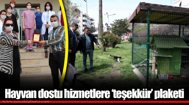 Hayvan dostu hizmetlere ‘teşekkür’ plaketi