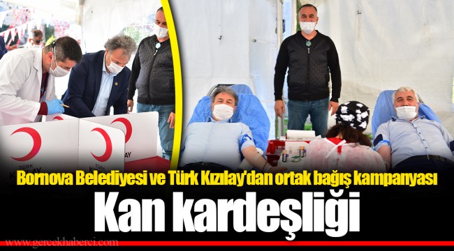 Kan kardeşliği