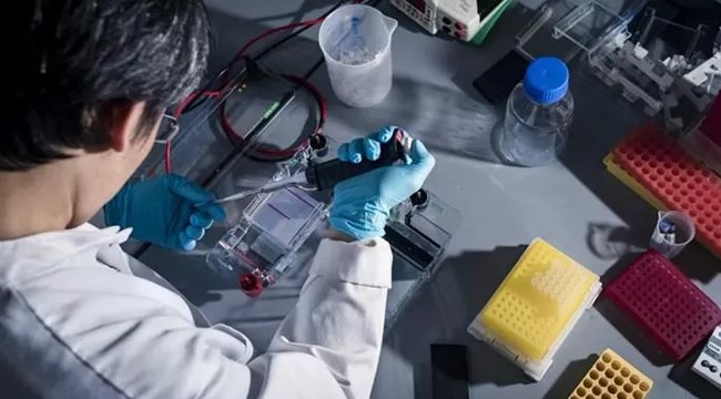 Kanser patogenezinde yer alan 2 protein keşfedildi