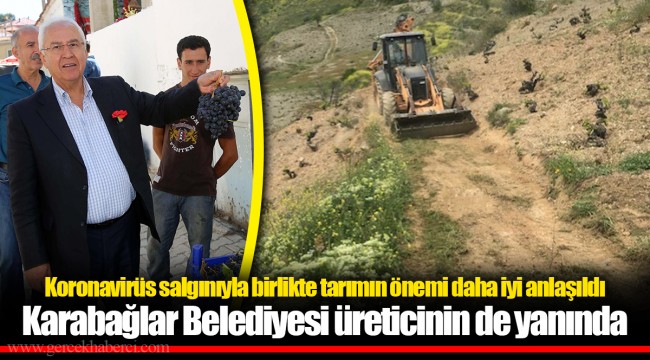 Koronavirüs salgınıyla birlikte tarımın önemi daha iyi anlaşıldı