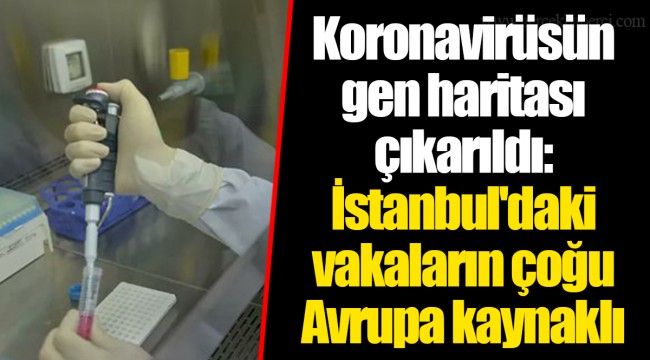 Koronavirüsün gen haritası çıkarıldı: İstanbul'daki vakaların çoğu Avrupa kaynaklı