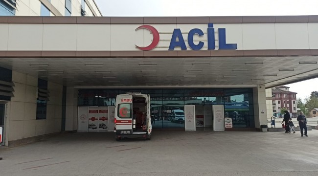 Kovandan kraliçe arıyı almak isterken hastanelik oldu