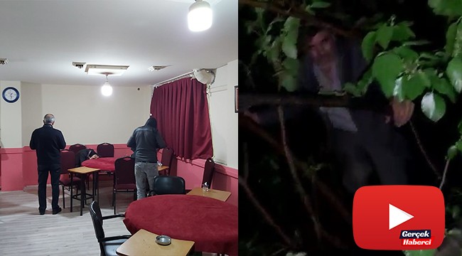 Kumar oynarken basıldı karanlıkta saklanmak için ağaca çıktı