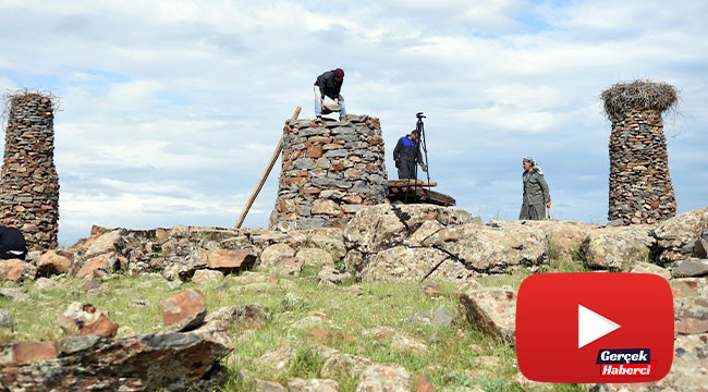 Leyleklerin sayısı artınca mahalleli yeni kuleler yapmaya başladı