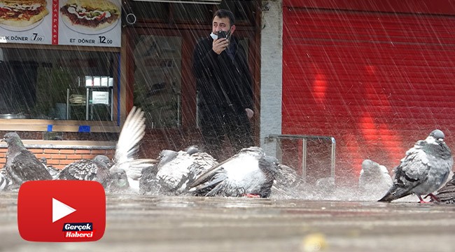 Meydanlar boş kaldı, yüzlerce güvercin böyle yıkandı