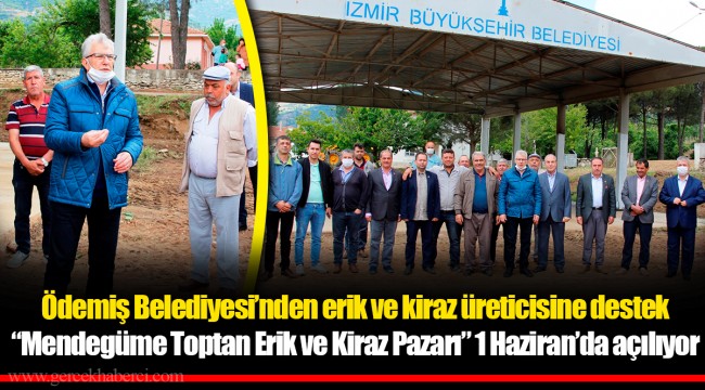 Ödemiş Belediyesi’nden erik ve kiraz üreticisine destek