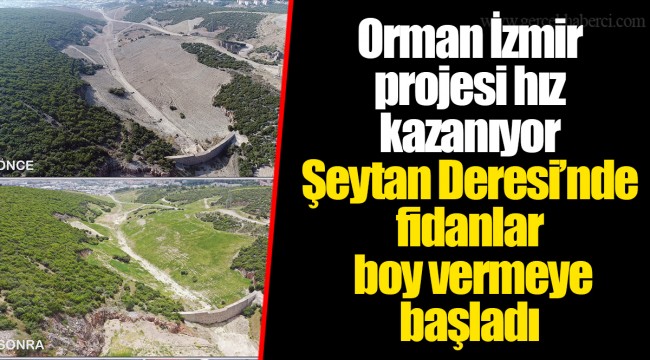 Orman İzmir projesi hız kazanıyor